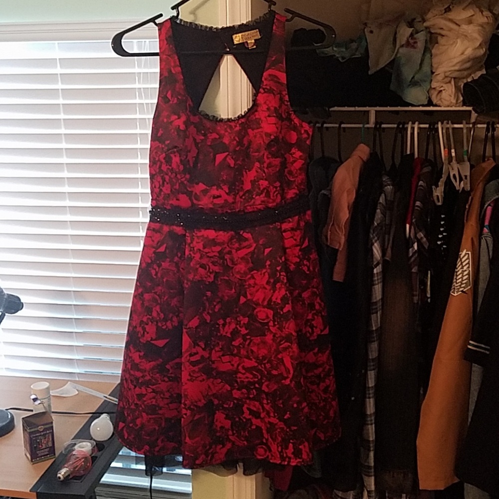Princess Vera Bradley Splendid Red Dress
